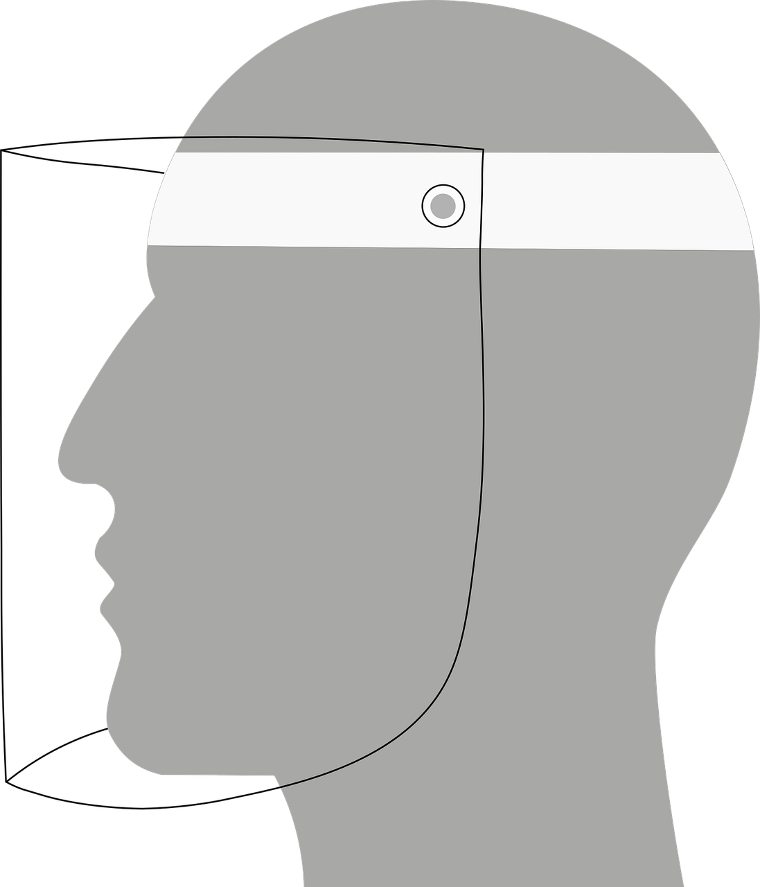 Face shield